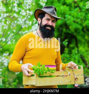 Frühling. Bauer arbeitet im Garten. Bärtiger Mann, der sich auf die Pflanzung vorbereitet. Öko-Farm. Gärtner mit Box. Stockfoto