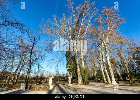 Jardín del Príncipe, Aranjuez, Madrid, Spanien Stockfoto