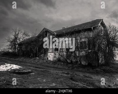 Gespenstisches, verlassene Haus mit Pflanzen überwuchert, eine verlassene Ruine im Mostviertel, Niederösterreich in Schwarzweiß Stockfoto