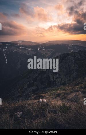 Sonnenuntergang vom höchsten tschechischen Berg Snezka Stockfoto