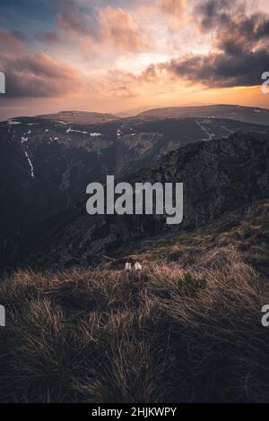 Sonnenuntergang vom höchsten tschechischen Berg Snezka Stockfoto