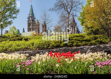 Das Tulpenfest von Ottawa vor dem Parlament Stockfoto