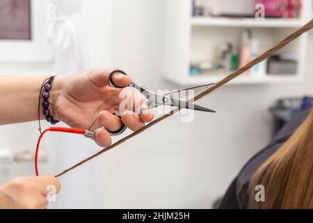 Professioneller Friseur hält Kamm und heiße thermische Schere Schneiden Spitzen von langen geraden Haar sperren Nahaufnahme. Friseursalon, Coiffeur Shop, Perfe Stockfoto