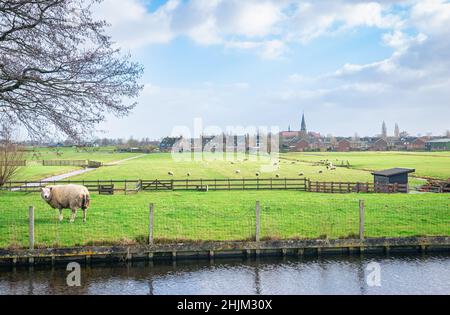 Blick auf die ländliche Polderlandschaft und das Dorf Reeuwijk-dorp im westlichen Teil der Niederlande. Stockfoto