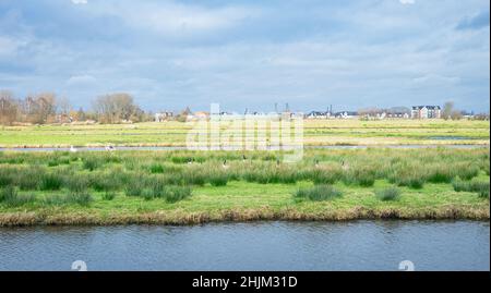 Blick auf die ländliche Polderlandschaft und das Dorf Boskoop im Westen der Niederlande. Stockfoto