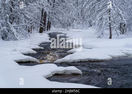 Rasant wütende Fluss fließt durch verschneiten Wald an kalten Winter düsteren Tag Stockfoto