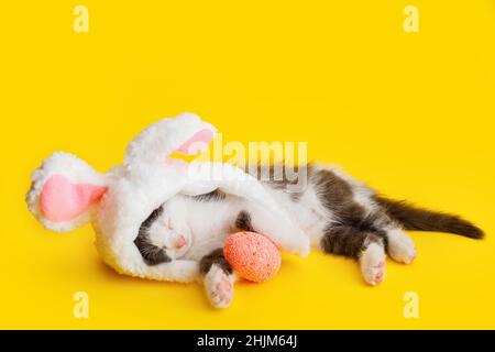 Kleine niedliche Kätzchen schlafen vorgetäuscht Osterhase zu sein. Katze Haustier trägt Kaninchenhut mit rosa Hasenohren Hugs Ostern rosa Ei während des Schlafs Stockfoto
