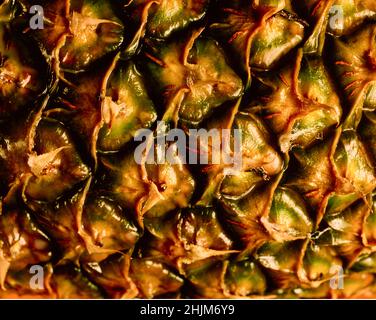 Natürliche Muster und Texturen der Ananas (Ananas comosus)-Haut in semi-abstraktem Makro Stockfoto