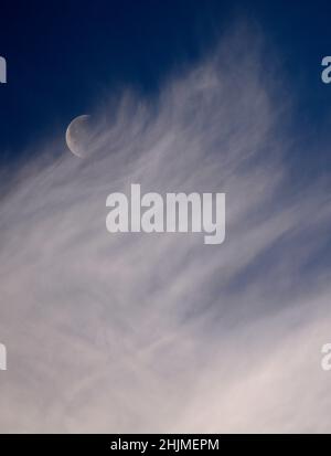 Ein Mond im letzten Quartal, manchmal Halbmond genannt, teilt sich den Himmel mit wispigen Zirruswolken über Santa Fe, New Mexico. Stockfoto