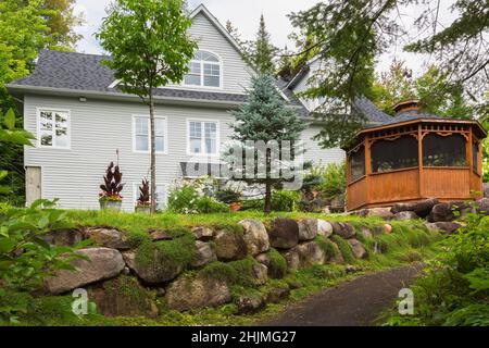 Rückseite des Hauses im Landhausstil mit Syringa reticulata ‘Elfenbeinseide’ - Japanischer Baumlila, Canna Indica ‘Purpurea’ - Indian Shot, Picea pungens glauca. Stockfoto