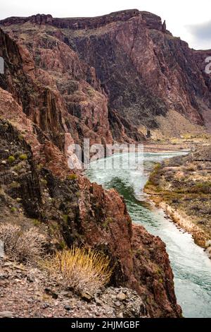 Der Colorado River schlängelt sich langsam durch den Grand Canyon unterhalb der Silver Bridge Stockfoto