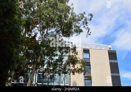 Gebäude der Fakultät für Künste der Macquarie University in Sydney, Australien Stockfoto