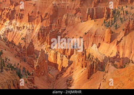 Hoodoo Details in Shade and Shadow in Cedar Breaks National Monument in Utah Stockfoto