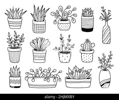 Set von niedlichen Zimmerpflanzen in Blumentöpfen isoliert auf weißem Hintergrund. Vektor-handgezeichnete Illustration im Doodle-Stil. Perfekt für Karten, Dekorationen, Aufkleber, verschiedene Designs. Stock Vektor
