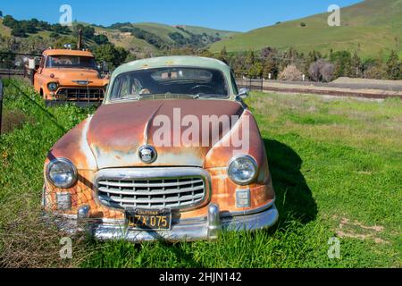 Rusty verließ Nash Airflyte und Chevrolet Pickup-Fahrzeuge mit schwarz gelben California Legacy-Kennzeichen. Vorderansicht - Fremont, Kalifornien, USA Stockfoto