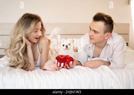 Liebespaar Mann und Frau liegen morgens auf dem Bett, halten eine rote Schachtel und schenken dem Hund ein Geschenk. Chihuahua Haustier- und Haustierbesitzer. Stockfoto