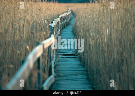 Alte Holzpromenade mit Geländer an der Seite und Wachturm im sic Schilf Reservat, Cluj, Rumänien Stockfoto