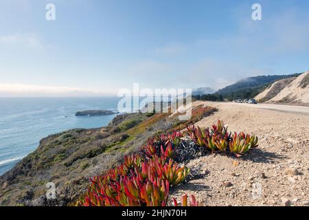 Der Pacific Coast Highway, Route 1, in Santa Cruz County, Kalifornien, zwischen Scott Creek und Pigeon Point, um 2012 Stockfoto