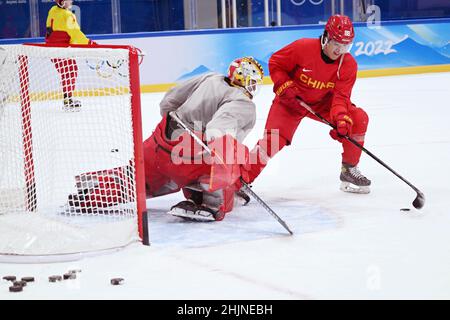 Peking, China. 31st Januar 2022. Spieler aus China nehmen an einer Trainingseinheit im Nationalen Hallenstadion in Peking, der Hauptstadt Chinas, Teil, 31. Januar 2022. Kredit: Ma Ning/Xinhua/Alamy Live Nachrichten Stockfoto