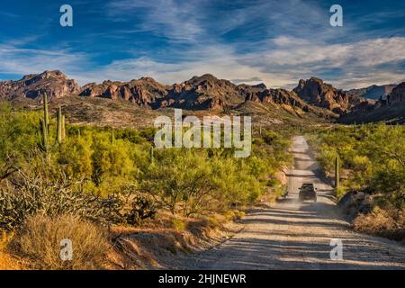 Superstition Mountains, Blick vom Hewitt Canyon, Montana Mountain Loop (NF 172 aka FS 172), Tonto National Forest, nahe Queen Valley, Arizona, USA Stockfoto