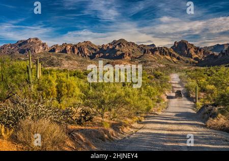 Superstition Mountains, Blick vom Hewitt Canyon, Montana Mountain Loop (NF 172 aka FS 172), Tonto National Forest, nahe Queen Valley, Arizona, USA Stockfoto