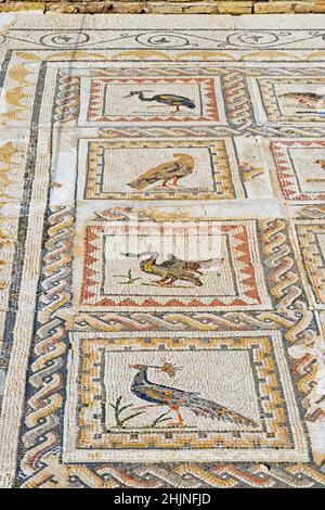 Römische Stadt Italica, in der Nähe von Santiponce, Provinz Sevilla, Andalusien, Südspanien. Mosaike in der Casa de los Pajaros oder im Haus der Vögel. Stockfoto