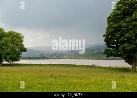 Sommer Blick über eine Wildblumenwiese und Semer Wasser in den Yorkshire Dales an einem bewölkten grauen Tag Stockfoto