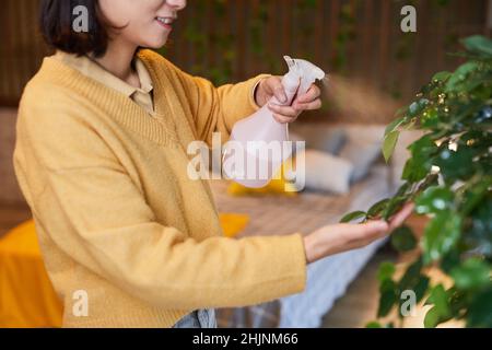 Beschnittene Seitenansicht einer jungen asiatischen Frau, die Pflanzen in einem gemütlichen Innenraum bewässert, Kopierfläche Stockfoto