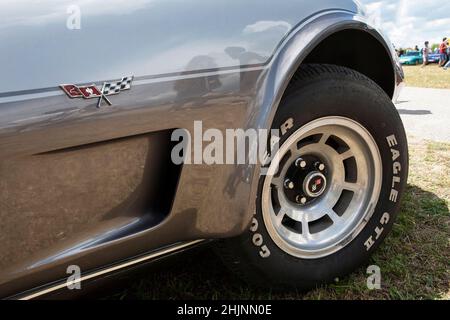 Amerikanische Oldtimer Corvette, Nahaufnahme des Logos Stockfoto