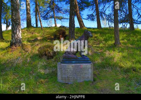 Balmoral Castle Grounds, Schottland Stockfoto