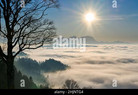 Sonnenuntergang im verschneiten Bregenzer Wald in Vorarlberg, Österreich mit spektakulärem Blick auf den Saentis über einem Nebelmeer, Schweiz, Sulzberg, Austr Stockfoto