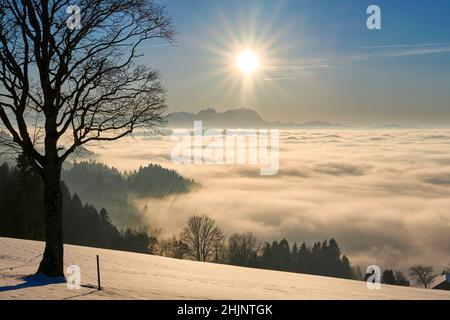 Sonnenuntergang im verschneiten Bregenzer Wald in Vorarlberg, Österreich mit spektakulärem Blick auf den Saentis über einem Nebelmeer, Schweiz, Sulzberg, Austr Stockfoto