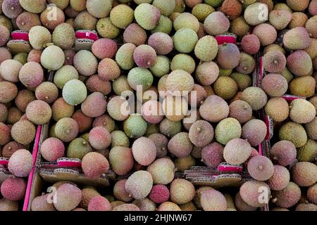 Stapel von Lychee-Früchten, Litchi chinensis, zum Verkauf an einem Marktstand in Southall, Middlesex Stockfoto