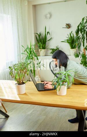 Frau Floristin mit Topfpflanze arbeitet auf einem Laptop in Blumenpflanzengeschäft, Werkstatt, verkauft im Blumengeschäft beschäftigt sich mit einem Hobby, Blumenpflanze sto Stockfoto
