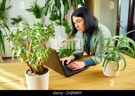 Frau Floristin mit Topfpflanze arbeitet auf einem Laptop in Blumenpflanzengeschäft, Werkstatt, verkauft im Blumengeschäft beschäftigt sich mit einem Hobby, Blumenpflanze sto Stockfoto