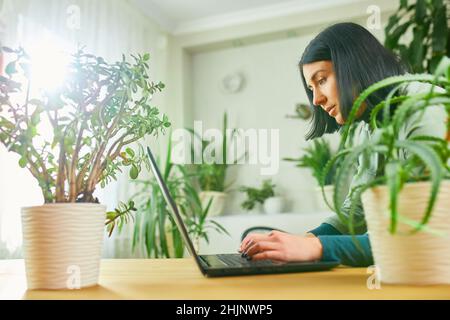 Frau Floristin mit Topfpflanze arbeitet auf einem Laptop in Blumenpflanzengeschäft, Werkstatt, verkauft im Blumengeschäft beschäftigt sich mit einem Hobby, Blumenpflanze sto Stockfoto