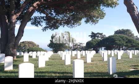 Grabsteine auf dem nationalen amerikanischen Militärfriedhof, Friedhof in den USA. Grabsteine oder Grabsteine und grünes Rasengras. Respekt und Ehre für Soldaten der Streitkräfte. Veteranen und Gedenktag. Stockfoto