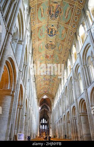 Hauptschiff der Kathedrale von Ely, Ely, Cambridgeshire, England, Vereinigtes Königreich Stockfoto