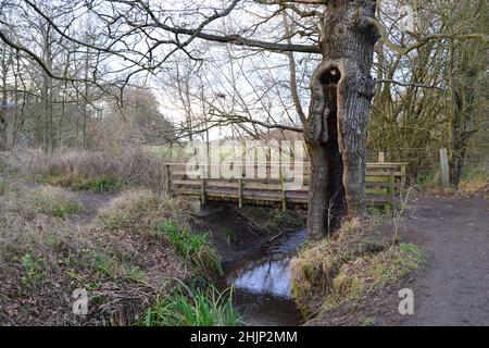 Der Kyd Brook im Winter. Petts Wood, Hawkwood Estate, Tong Farm. Dieser Strom steigt am Locksbottom an und wird zum Quaggy River, einem Themse-Nebenfluss Stockfoto