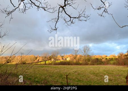 Ein Blick auf die Tong Farm in Petts Wood/Chislehurst auf dem Hawkwood Estate an einem Winternachmittag. Wiesen, Wälder und Kyd Brook im Blick. Stockfoto