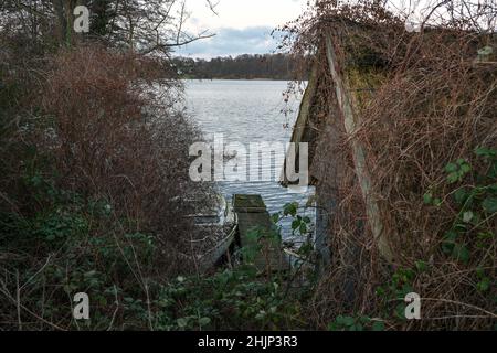 Verlassene Bootshaus, verrottet hölzernen Dock und ein altes Boot mit Brambles und wilden Clematis an einem See an einem dunkelgrauen Tag überwuchert, Kopie sp Stockfoto