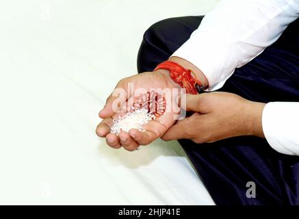 Reis Halten in der Hand des Bräutigams für ein Ritual in indien Stockfoto