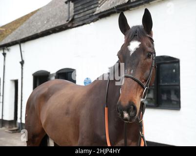 Aktenfoto vom 25-02-2021 von Santini während des Besuchs auf Nicky Hendersons Hof in Seven Barrows, Lambourn. Santini scheint sich beim Boodles Cheltenham Gold Cup eine dritte Neigung verdient zu haben, nachdem er am Samstag im Prestbury Park mit einer hervorragenden Niederlage zurück zur Form geprallt war. Ausgabedatum: Montag, 31. Januar 2022. Stockfoto