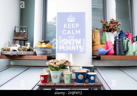 Moskau, Russland, September 2019: Zusammensetzung von Blumen in bunten Keramiktöpfen, Figuren von Kaninchen, Kürbisse, viele helle Gießkannen und ein Stockfoto