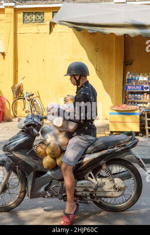 In Hoi an, Provinz Quang Nam, Zentralvietnam, Südostasien, fährt ein junger Vietnamese auf einem mit Kokosnüssen beladenen Motorrad Stockfoto