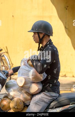 In Hoi an, Provinz Quang Nam, Zentralvietnam, Südostasien, fährt ein junger Vietnamese auf einem mit Kokosnüssen beladenen Motorrad Stockfoto