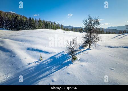 Winterwaldlandschaft. Baum auf dem Hügel und den Bergen. Stockfoto