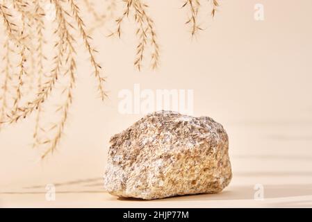 Naturstein Podium und trockenen Pflanzenzweig auf beigem Hintergrund, minimale Kopie Raum Hintergrund für Präsentation kosmetische Produkt Stockfoto