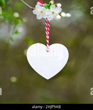 Herz auf blühendem Baum auf grünem Hintergrund im Frühjahr. Valentinstag, Muttertag, Geburtstag. Modell Stockfoto