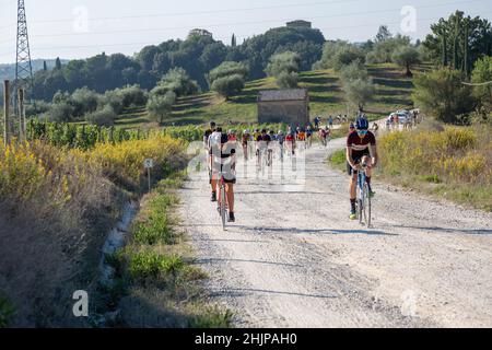 Eroica 2021, 40 km lange Strecke, die von Gaiole in Chianti startet und die Hügel von Argiano und die Straße Pievasciato hinauf fährt. Stockfoto